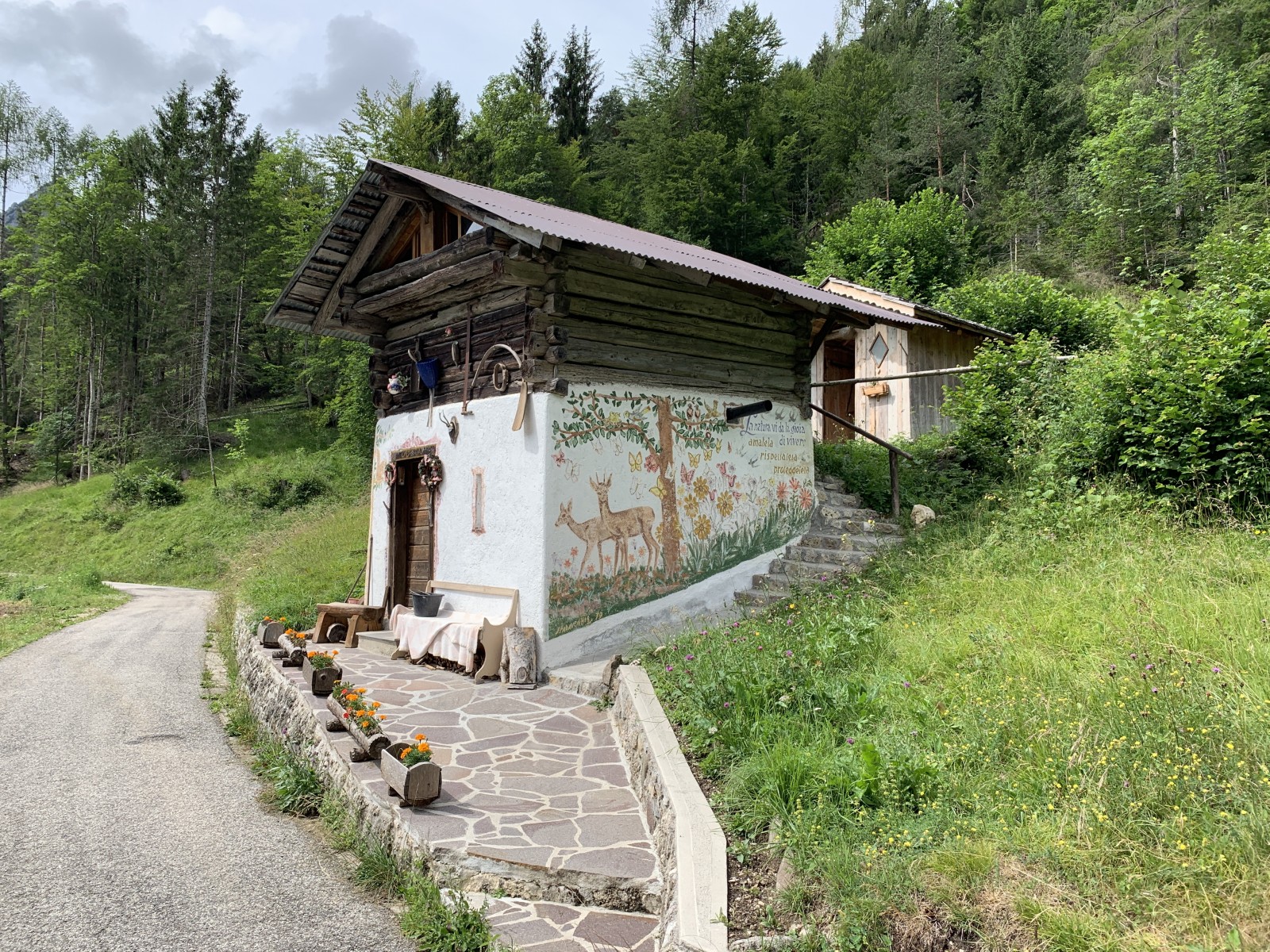 9. Tag: Zum Rifugio Flaiban Pacharini